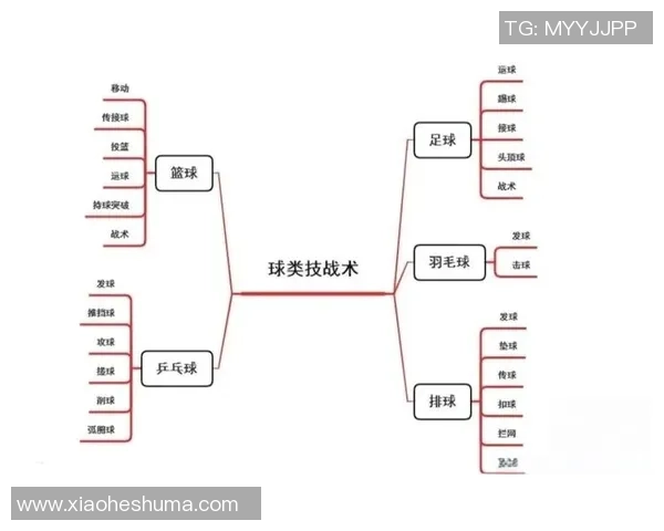 上海篮球队的战术解析与控制体系的深度剖析与应用探讨