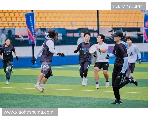 上海飞盘队与深圳飞盘队的精彩对决全景分析与战术探讨