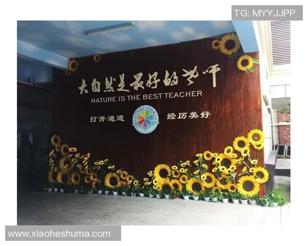 与杨军畅谈篮球生涯的点滴与成长之路