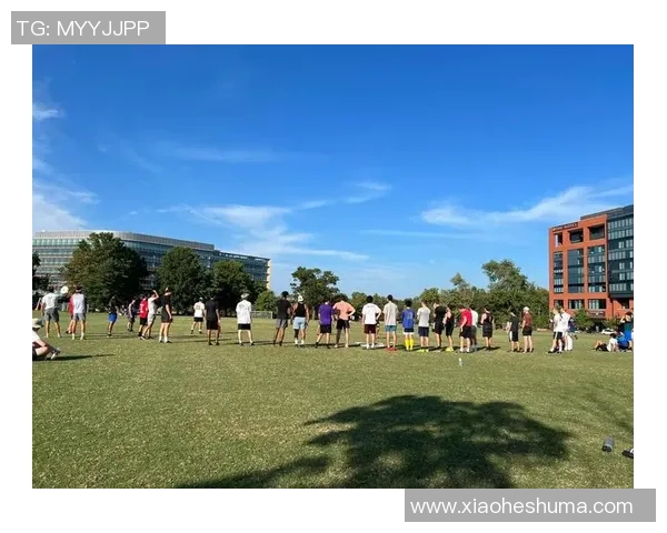 从零起步掌握飞盘技巧与战术的全面指南与实战经验分享