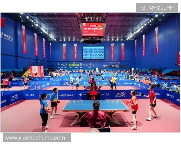 乒乓球盛宴：深入解析上海乒乓球队员的个人技术与实力