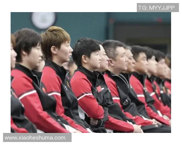 乒乓球的梦想与奋斗：杭州乒乓球队成长历程的真实记录与回顾