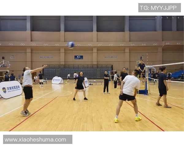 广州排球队实力提升引发热议展望未来发展新机遇