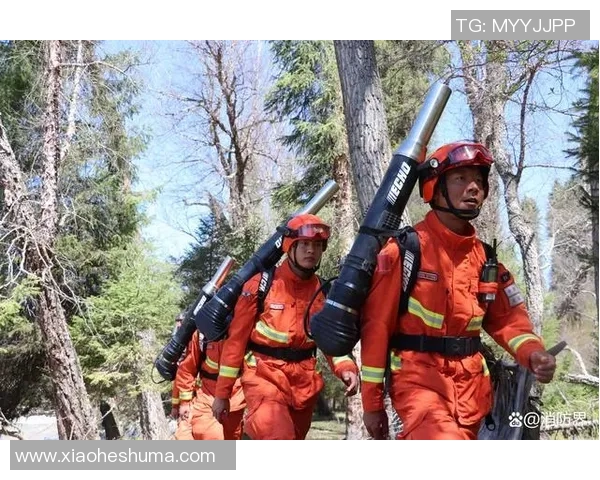 成都篮球队的蜕变之旅精英赛背后的奋斗与坚持