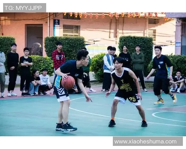 杭州篮球队心理素质分析与表现评估的全面研究与探讨