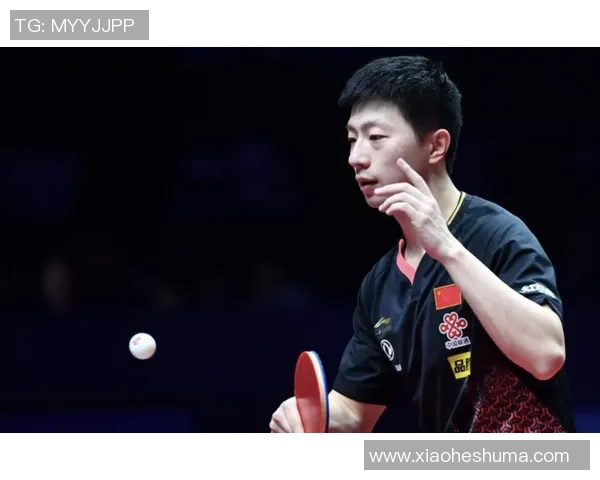 武汉羽毛球队快攻战术解析与实战应用研究