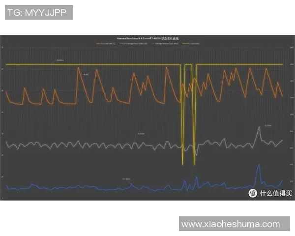 深圳羽毛球队在挑战赛中的速度表现分析与点评