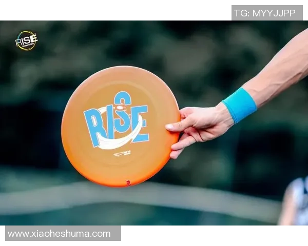 飞盘新手指南：从基础到进阶的全面能力提升策略